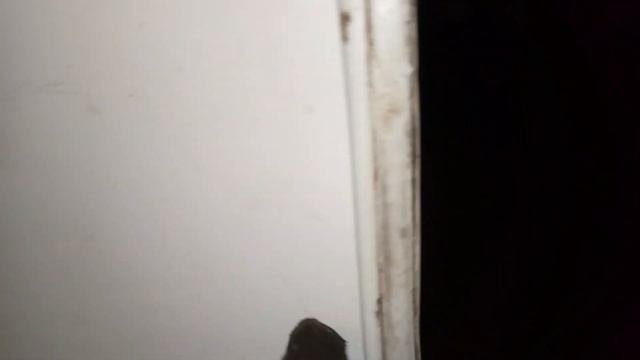Дверь холодильной камеры. смотреть онлайн