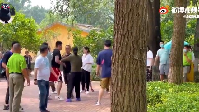 Family Fighting at Beijing Safari Park смотреть онлайн