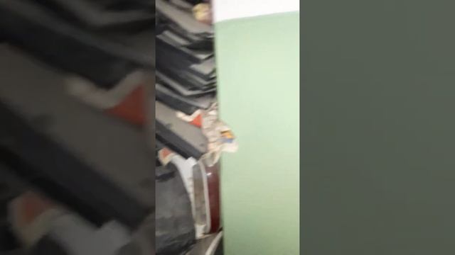 бомжы атакуют. бомж устроил помойку. завалил мусором мою входную дверь и пожарный выход. смотреть онлайн
