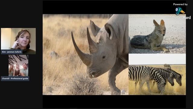 Safari Guide Chronicles Live: Dunes of Namibia смотреть онлайн
