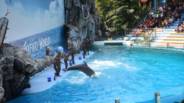 Bangkok| Safari World|Dolphin Show|Malayalam Vlog|Antony Hoegun смотреть онлайн