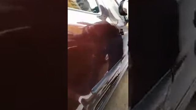 Гринвей, авто полотенце, личный опыт смотреть онлайн