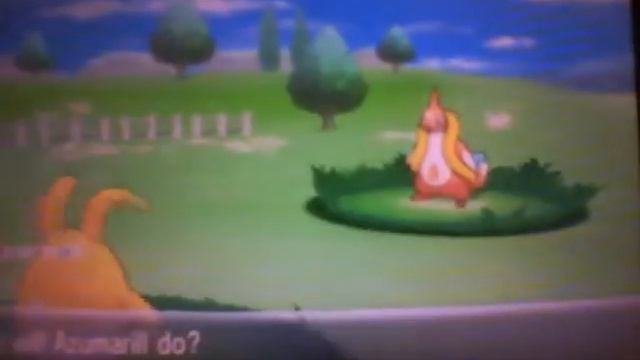 Random Friend Safari Shiny Azumarril in Pokemon X смотреть онлайн