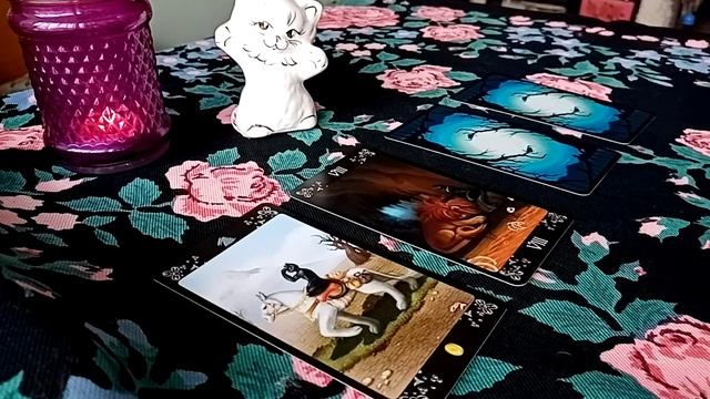 ТАЙНА КОТА. Какая дверь откроется для вас?! 🍁 смотреть онлайн