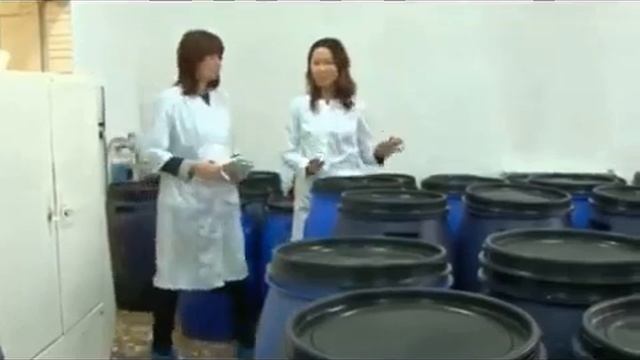 ЭМ Курунга.А где производят,с чем едят ?Давай,давай лечится! смотреть онлайн