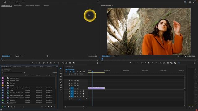 How To Dock Panel in Premiere Pro 2023 | Docking Panels for Better Workflow | Premiere Pro Tutorial смотреть онлайн