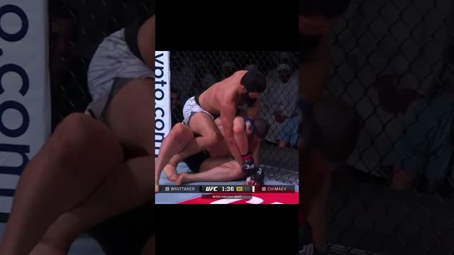 Хамзат Чимаев задушил Роберта Уиттакера в первом раунде! #UFC308 смотреть онлайн