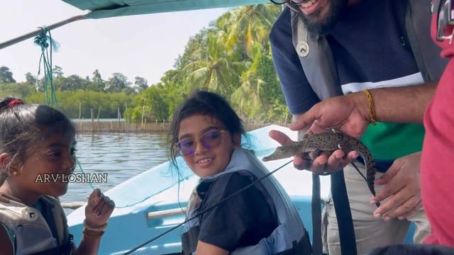 முதலைக் குட்டி - கறுவாத் தீவு ! Bentota River Safari | Travel Sri Lanka | ARV Loshan ARVlogs смотреть онлайн