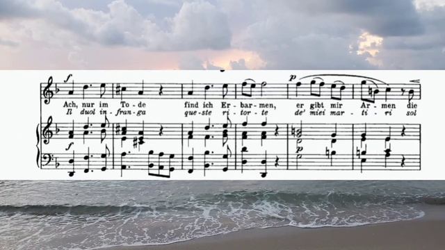 Handel. Lascia ch`io pianga. Karaoke. смотреть онлайн
