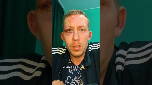 После общения со свиньями из тцк овца с ошейникрм решила идти на убой в нацгвардию Свинарнии смотреть онлайн