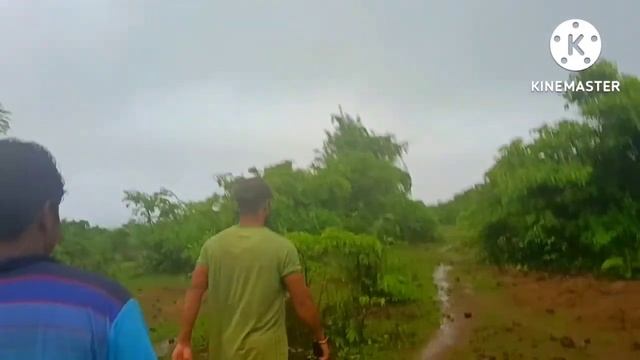 rain forest 2 смотреть онлайн