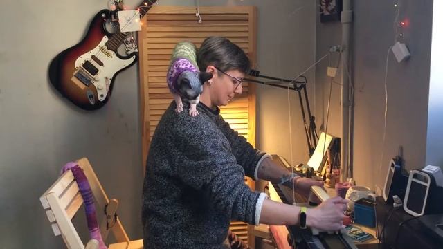 Christopher the Sphynx — Brave tailor II смотреть онлайн