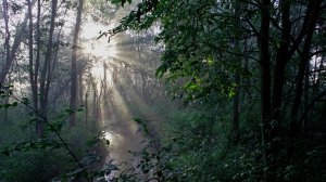 Магия тундры