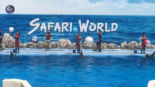 ฉลาดสุดๆ โชว์โลมา ซาฟารีเวิลด์ - Dolphin Show Safari World смотреть онлайн
