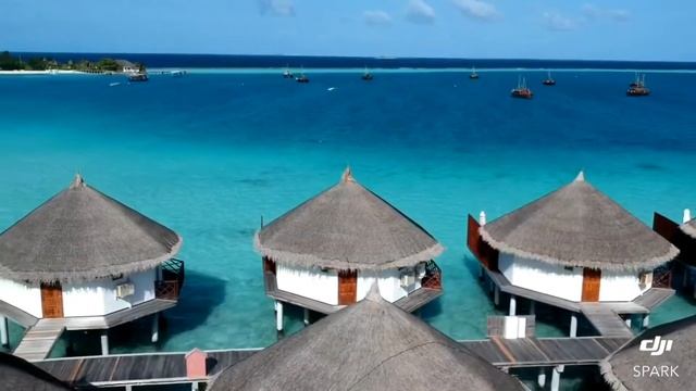Safari Island Maldives смотреть онлайн