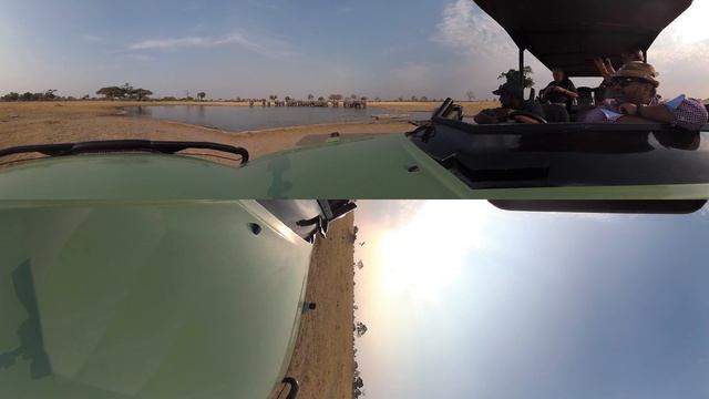 African Safari смотреть онлайн