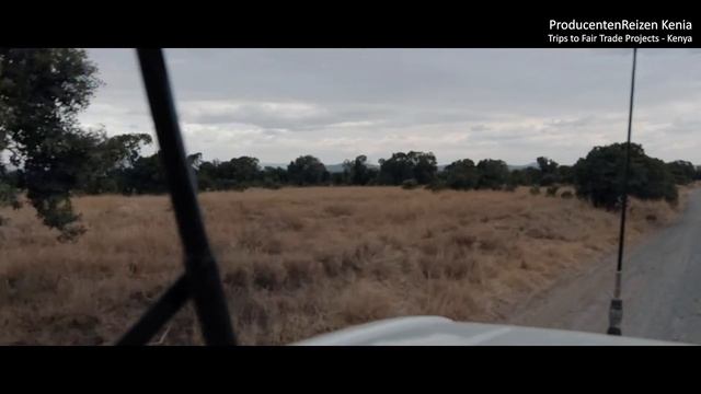 Safari Day | Producentenreizen Kenia смотреть онлайн