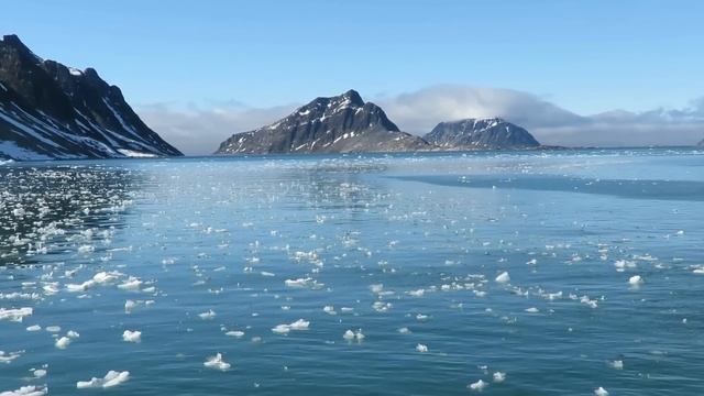 Embark on an Ecological Journey: Explore, Learn, and Protect with Cheesemans' Ecology Safaris смотреть онлайн