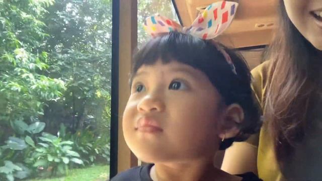 First trip in Bali Safari and Marine Park‼️ смотреть онлайн