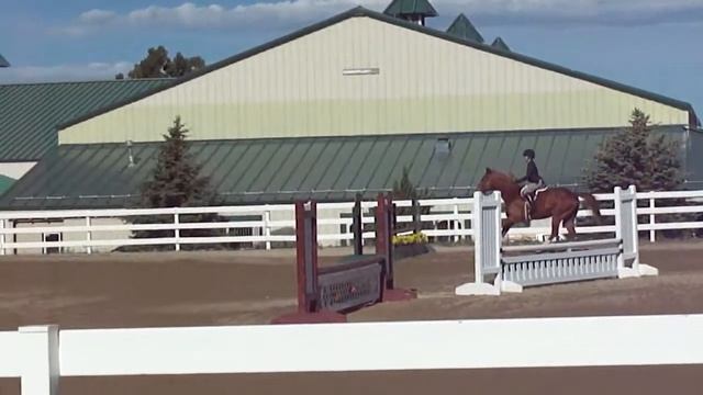 Chrome OQH_Rd 2 JumpIntoJune CHJA Schooling Hunters.MP4 смотреть онлайн