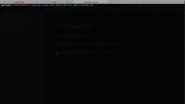 ChromeDriver BDD execution by SelGP смотреть онлайн