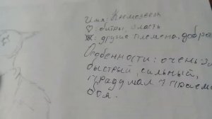 •Рисунки котов воителей•