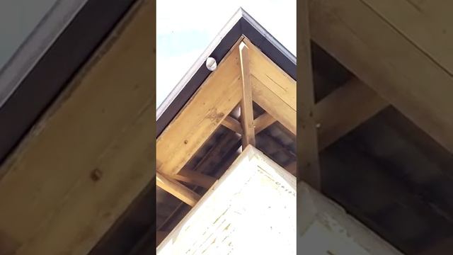 7 декабря 2021 г. смотреть онлайн