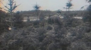 Очевидное — невероятное «Эхо взрыва - Чернобыльская катастрофа» (документальный сериал, 1973-2010)