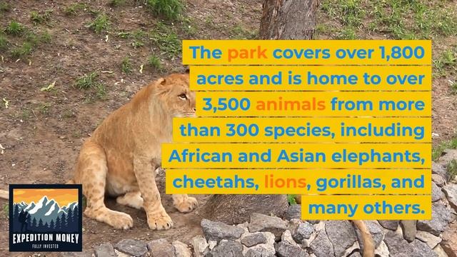 Is San Diego Zoo Or Zoo Safari Park Better? смотреть онлайн