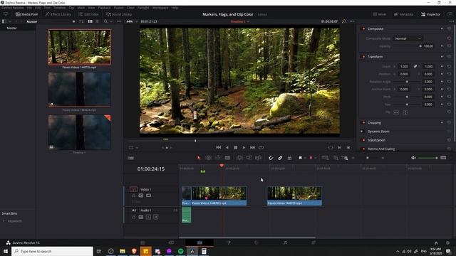 How to Organize Your Video Editing with Markers, Flags, and Clip Colors - Resolve 16 Tutorial смотреть онлайн