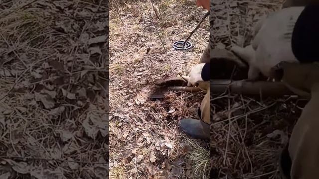НЕ ПОНЯТНАЯ НАХОДКА... #копметаллавлесу #копметаллавлесу  #металлокоп