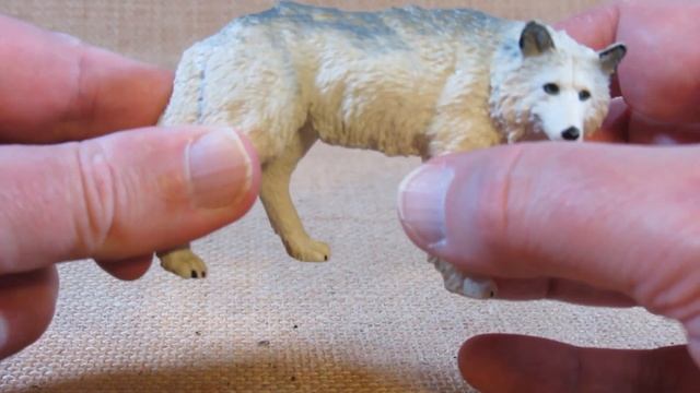 Safari Ltd. Wild Safari White Wolf set # 220029 review смотреть онлайн