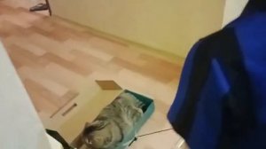 я уеду на кухню