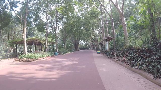 TRAVEL VLOG: Wellcome to Chimelong Safari Part 6. Guangzhou China. смотреть онлайн
