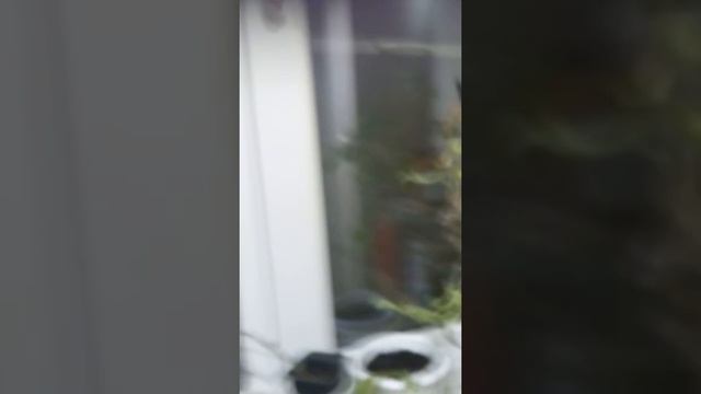Необычная ручка смотреть онлайн