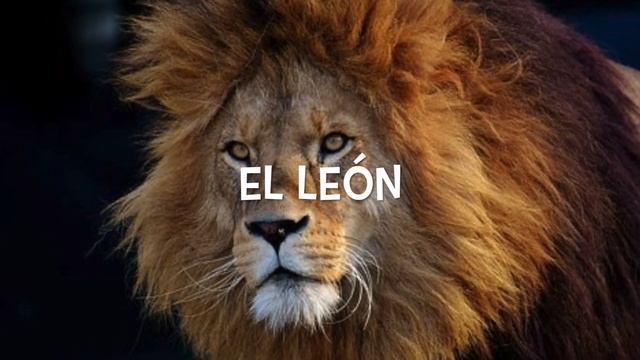 ¡Vamos de Safari! (Learn names African animals in Spanish) ~ Level 1 | Mi Camino Spanish™ смотреть онлайн