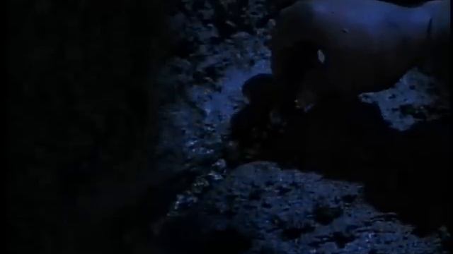 We have recovered one survivor of a crashed Romulan vessel on the surface of Galorndon Core смотреть онлайн