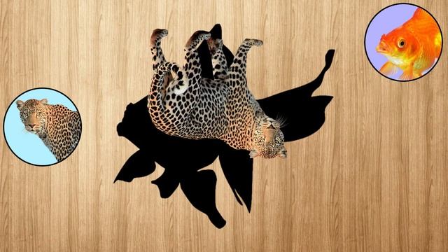Learn Wild Animal Names and Animal Videos for Kids - Safari Animal Puzzle смотреть онлайн
