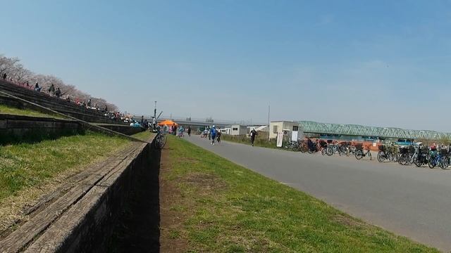 2021.3.27 Tokyo Arakawa spring ride 8(video test) Akaso Brave 7LE 4K30fps смотреть онлайн