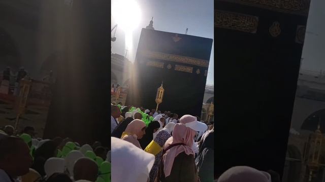 Umra safari 2, смотреть онлайн
