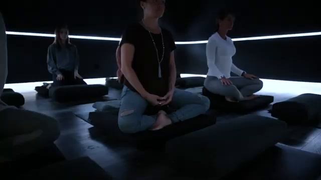 Safari Series: Immersive Meditation Studios смотреть онлайн