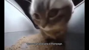 Ты затролин