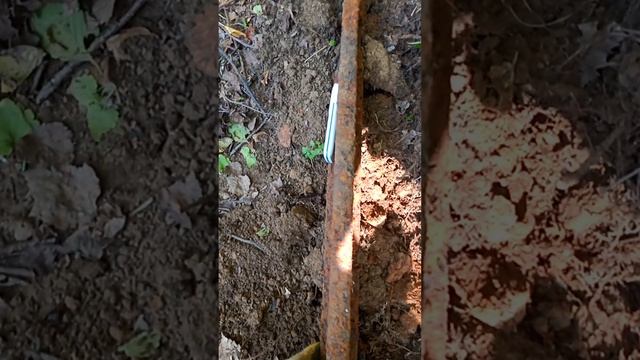 Коп металла...Самая узкая в мире УЖД... #КопМеталлавлесу #копметаллавлесу  #металлокоп