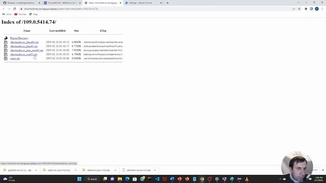 Selenium WebDriver за 15 хвилин з нуля смотреть онлайн