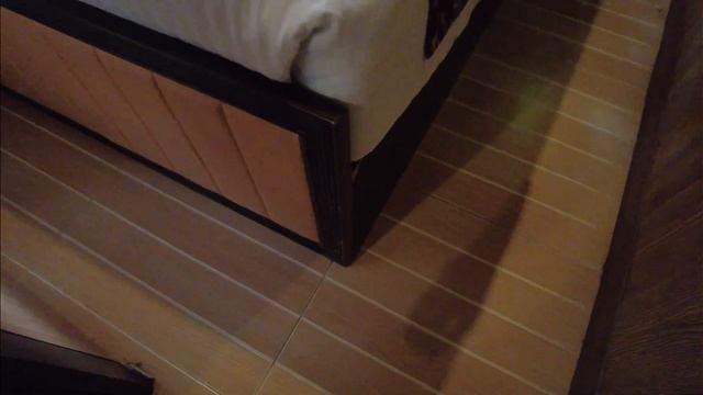 Safari Lodge Hotel Caravan [VLOG #39] : Caravan ditengah hutan! смотреть онлайн