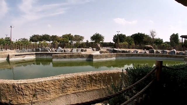 DUBAI SAFARI PARK: Thrilling Wildlife Adventures Await! смотреть онлайн