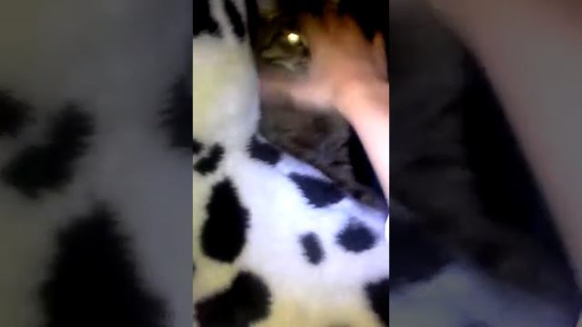 Ухади и дверь закрой смотреть онлайн