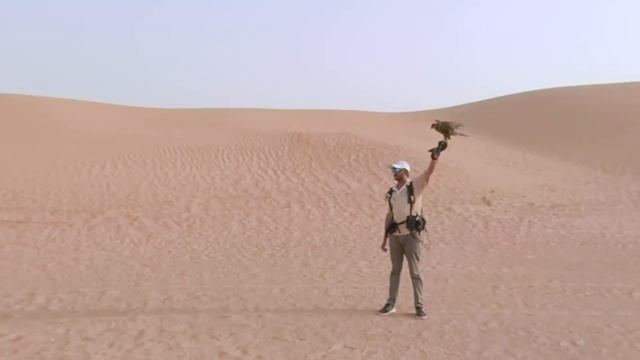 Dubai: BEST Desert Safari for Family! (Episode 5) смотреть онлайн