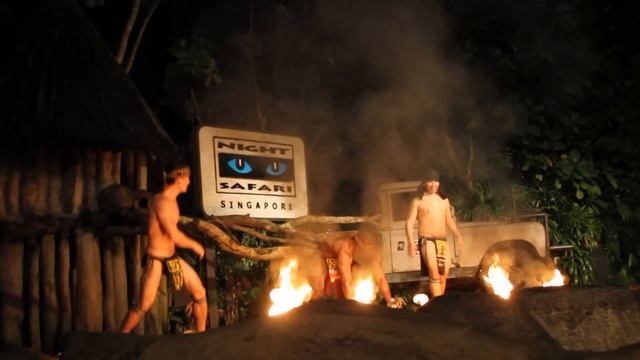 Fire Breathing Show, Night Safari - Singapore смотреть онлайн