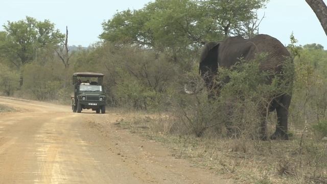 Our Latest Kruger National Park Safari Game Drive Sightings - Published 02 March 2018 смотреть онлайн